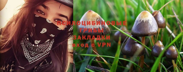 винт Абаза