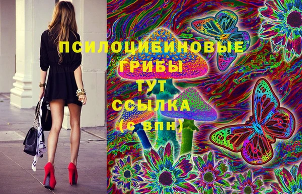 винт Абаза
